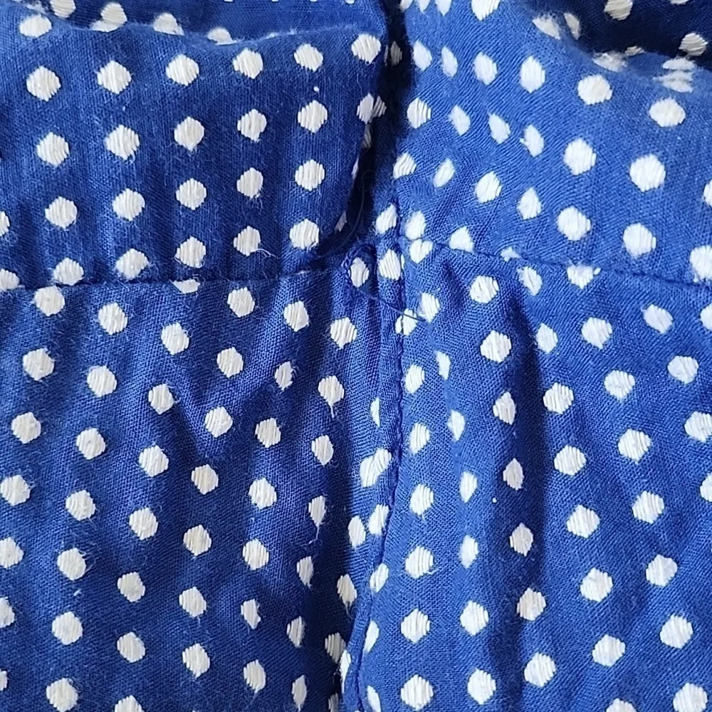 Old Navy Blue and White Polka Dot Shorts with 4.75" inseam - Picture 5 of 8
